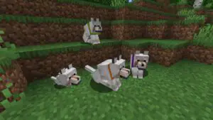 how-to-change-dog-collar-color-in-minecraft