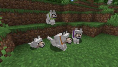 How To Change Dog Collar Color In Minecraft